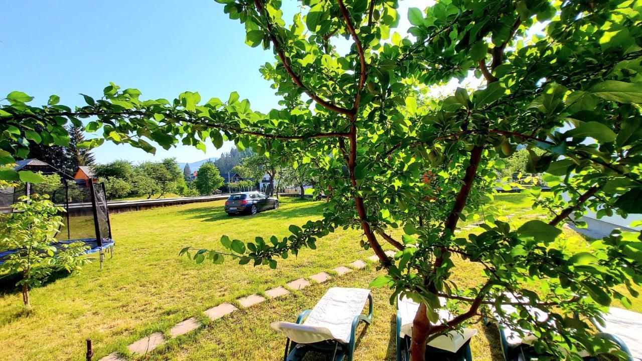 Pensiunea Boca 보로네츠 외부 사진